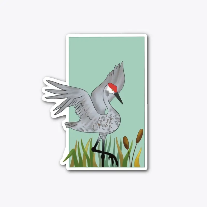 SandHill Crane 