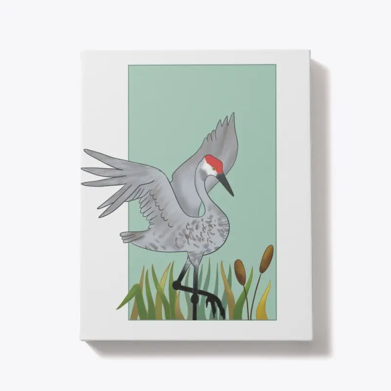 SandHill Crane 